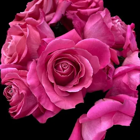 Mi Casita Azul Apartamento *